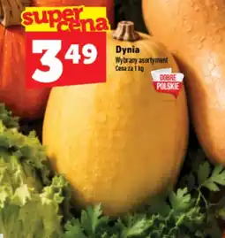 Topaz Express Dynia oferta