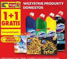 Biedronka Produkty Domestos oferta