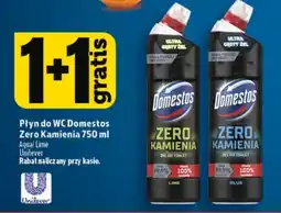 Topaz Express Płyn do WC Domestos Zero Kamienia oferta