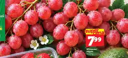 Topaz Express Winogrono różowe oferta