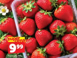 Topaz Express Truskawka oferta