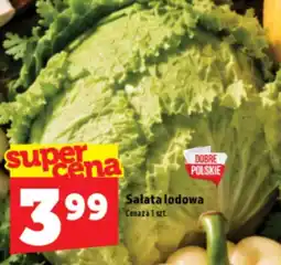 Topaz Express Sałata lodowa oferta