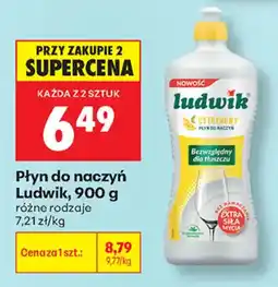 Biedronka Płyn do naczyń Ludwik oferta