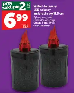 Topaz Express Wkład do zniczy LED solarny zmierzchowy oferta