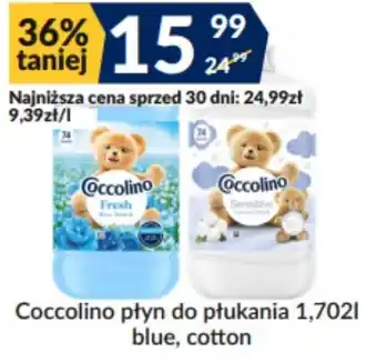 Coccolino płyn do płukania blue, cotton