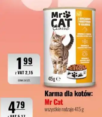 Eurocash Karma dla kotów: Mr Cat oferta