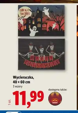 Lidl Wycieraczka 40x60 cm oferta