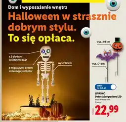 Lidl Dekoracja ogrodowa LED Livarno oferta