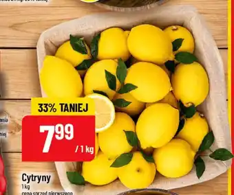 Polomarket Cytryny oferta