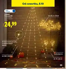 Lidl Dekoracja LED Livarno oferta