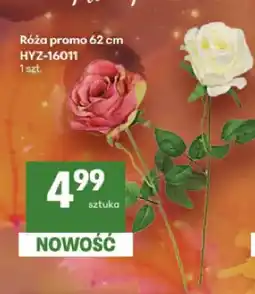 Delikatesy Centrum Róża promo 62 cm oferta