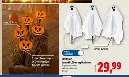 Lidl Lampki LED ze szpikulcem Livarno oferta
