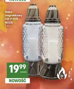 Delikatesy Centrum Znicz nagrobkowy Lw P-109 Róża oferta