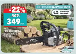 Biedronka Piła Nac oferta