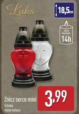 ALDI Znicz oferta
