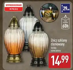 ALDI Znicz oferta
