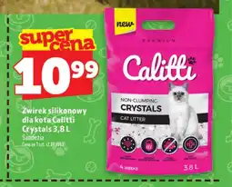 Topaz Żwirek silikonowy Calitti oferta