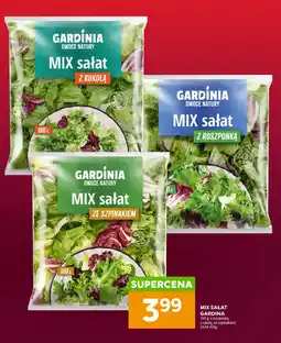 Stokrotka MIX sałat GARDÍNIA oferta