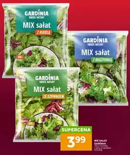 Stokrotka Mix sałat Gardina z roszponką oferta