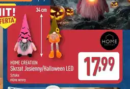 ALDI Skrzat jesienny LED Home Creation oferta
