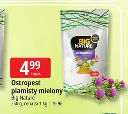 E.Leclerc Ostropest plamisty mielony Big Nature oferta