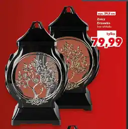 Kaufland Znicz Drzewko bez wkładu oferta