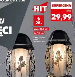 Kaufland Znicz szklany Róża oferta