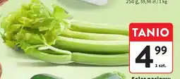 Intermarche Seler naciowy oferta