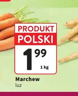 Intermarche Marchew oferta