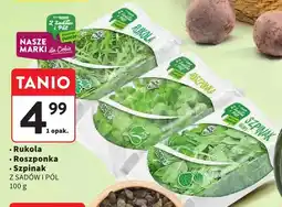 Intermarche Rukola Z Sadów i Pól oferta