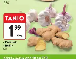 Intermarche Czosnek oferta