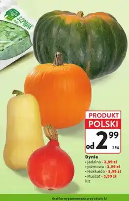 Intermarche Dynia jadalna oferta