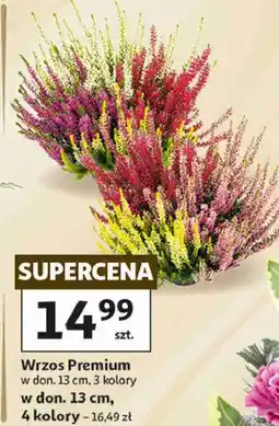 Auchan Wrzos Premium w don. 13 cm oferta