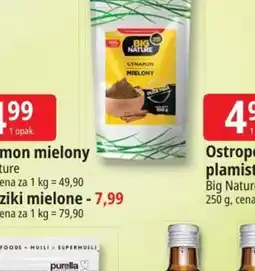 E.Leclerc Big Nature Cynamon Mielony oferta