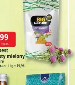 E.Leclerc Big Nature Ostropest oferta