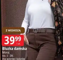 E.Leclerc Bluzka damska Moraj oferta