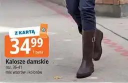 E.Leclerc Kalosze damskie oferta