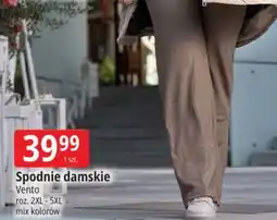 E.Leclerc Spodnie damskie oferta