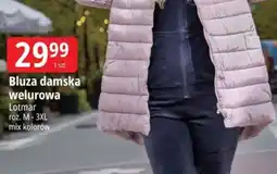 E.Leclerc Bluza damska welurowa oferta