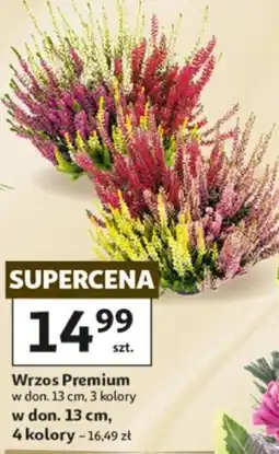 Auchan Wrzos Premium oferta