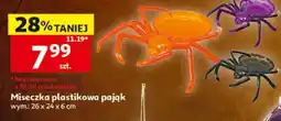 Auchan Miseczka plastikowa pająk oferta