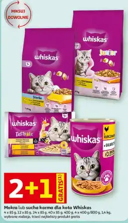Auchan Mokra lub sucha karma dla kota Whiskas oferta