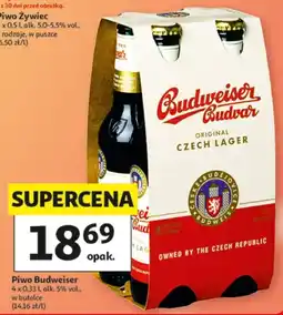 Auchan Piwo Budweiser oferta