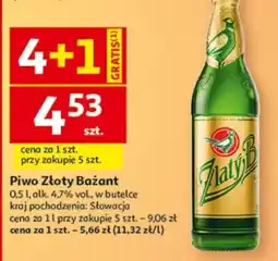 Auchan Piwo Złoty Bażant oferta