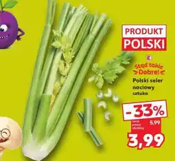 Kaufland Polski seler naciowy sztuka oferta