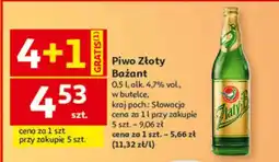 Auchan Piwo ZŁOTY BAŻANT oferta