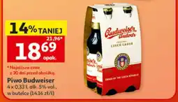 Auchan Piwo Budweiser oferta