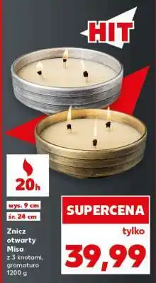 Kaufland Znicz otwarty Misa oferta