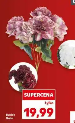 Kaufland Bukiet Dalia oferta