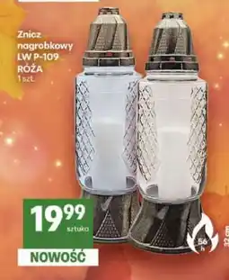 Delikatesy Centrum Znicz nagrobkowy LW P-109 RÓŻA oferta